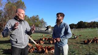 The BEST Pastured Poultry System Out There  Truly Free Range [upl. by Zil]