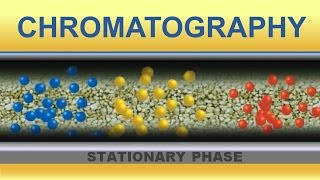 Chromatography Animation IQOGCSIC [upl. by Annerahs]