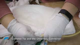 Central Venous Catheter Insertion Demonstration [upl. by Roosnam222]