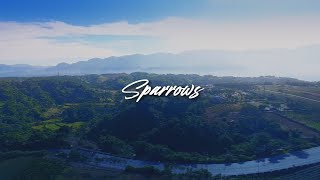 Cory Asbury  Sparrows Lyric Video [upl. by Hermia46]