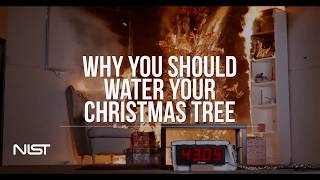 Christmas Tree Fire Watered Tree vs Dry Tree [upl. by Acinimod]