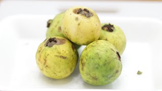 How to Eat Mexican Guava  White Guava Taste Test [upl. by Nahpets]