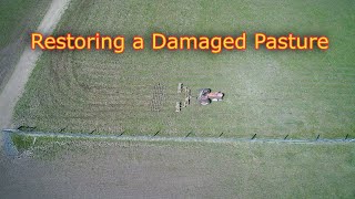 How to restore damaged pasture techniques [upl. by Henson167]