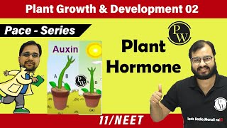 Plant Growth and Development 02  Plant Hormones  Class 11  NEET  Pace series [upl. by Elyc613]