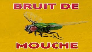 bruit de MOUCHE 🦟 bourdonnement [upl. by Luanne]