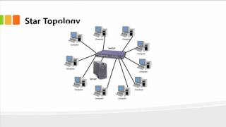 Understanding Network Topologies [upl. by Gass]