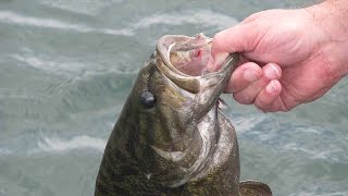 How To Rig Grubs  Bass Fishing [upl. by Malha837]