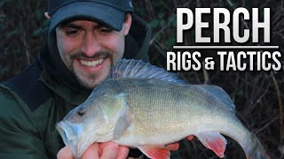 Perch Fishing with Prawns  Rigs amp Tactics  TAFishing [upl. by Sophey]