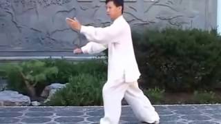 Tai Chi Quan Yang Style Traditional 108 form [upl. by Acsisnarf486]