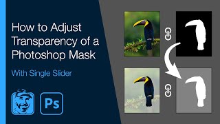 How to Adjust Transparency of a Photoshop Mask With Single Slider [upl. by Nart]