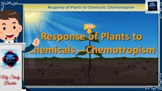 Chemotropism Explained  Class  10th Chapter  7th Science  NCERT Concept [upl. by Assilrac]