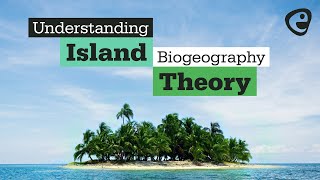 What is Island Biogeography Theory [upl. by Lairbag]