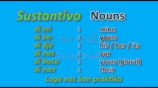 Learn Papiamento  Lesson 6  Possessive pronouns [upl. by Janene]