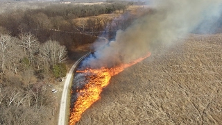 Prescribed Burn at Shaw Nature Reserve [upl. by Rachele976]