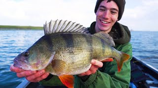 Dropshot and Lure Fishing for Perch  FULL GUIDE [upl. by Sivrep]