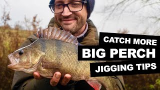 BIG PERCH FISHING RIGS  JIGGING AND JIG HEADS [upl. by Anerbas]