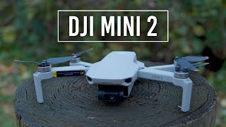 DJI Mini 2 Drone  Handson Review [upl. by Marcin470]