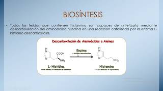 Histamina y Antihistaminicos [upl. by Lawrence]