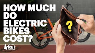 How Much do Electric Bikes Cost [upl. by Alrick683]