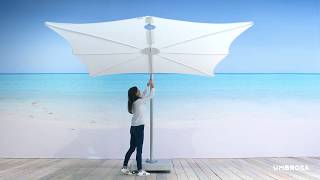 SPECTRA Umbrella by Umbrosa [upl. by Glimp]