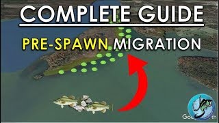 Easy Guide to PreSpawn Bass Fishing  Best Spring Fishing Areas [upl. by Iggam161]