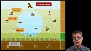 Ecosystem Ecology [upl. by Laehpar338]