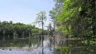 Merritts Mill Pond [upl. by Esialb390]