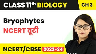 Bryophytes  NCERT बूटी  Plant Kingdom  Class 11 Biology Chapter 3  NCERTCBSE [upl. by Nette]