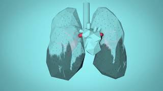 WHO Breathe Life  How air pollution impacts your body [upl. by Airbma]