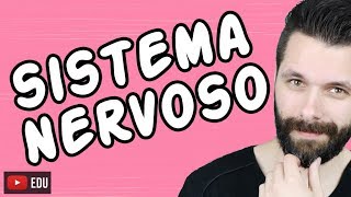 SISTEMA NERVOSO  FISIOLOGIA  Aula  Biologia com Samuel Cunha [upl. by Revlis]