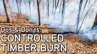 Controlled Timber Burn  Habitat Management [upl. by Dorolisa]