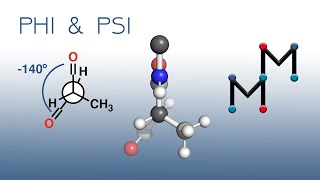 Understanding PHI and PSI Angles Ramachandran Plots amp Newman Projections [upl. by Hibbert]