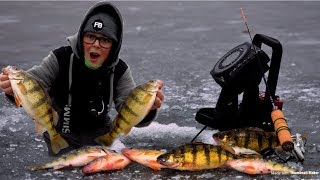 Ice Fishing For Jumbo Perch Wisconsin [upl. by Conall]