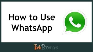 How to Use WhatsApp [upl. by Robinette]