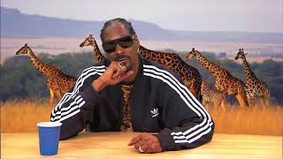 HILARIOUS Snoop Dogg narrates Animal Planet Documentary [upl. by Aterg]