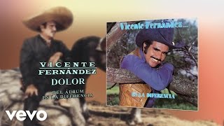 Vicente Fernández  Dolor Cover Audio [upl. by Tsugua]