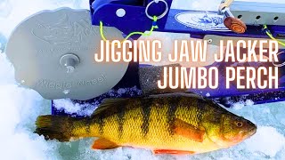 Jigging Jaw Jacker Jumbo Perch [upl. by Onitnelav117]