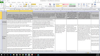 How to Create a Literature Matrix Excel [upl. by Reggy]