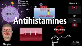 Histamine and Antihistamines Pharmacology Animation [upl. by Aed583]