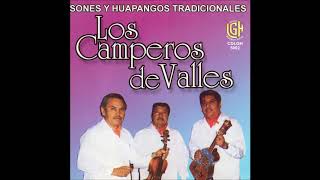 Los Camperos de Valles  Sones y Huapangos Tradicionales Disco Completo [upl. by Garvey]