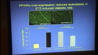 Fenofibrate Effect on Diabetic Retinopathy its Target and Mechanism of Action [upl. by Attekram147]