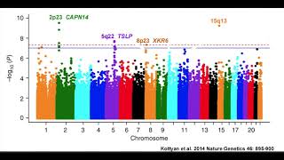 Understanding Manhattan Plots and Genomewide Association Studies [upl. by Hilario]