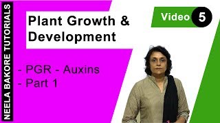 Plant Growth amp Development  NEET  PGR  Auxins  Part 1  Neela Bakore Tutorials [upl. by Anyt175]