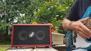 Phil Jones Bass Double Four unboxing and review [upl. by Lind]