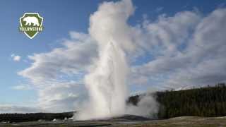 Old Faithful Geyser in Yellowstone National Park [upl. by Phare]