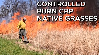 Controlled Burn On Native Grass CRP Planting  Dormant VS Growing Season Burns  Part1 [upl. by Eedebez]