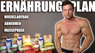 ERNÄHRUNG  So erreichst du deinen Traumkörper   Ernährungsplan und Supplements [upl. by Nadaba]