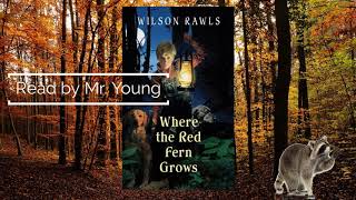 Where the Red Fern Grows Ch 10 Audiobook [upl. by Aidin]