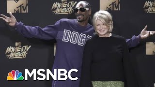 Snoop Dogg tells MSNBC’s Ari Melber why he finally voted [upl. by Mavilia]