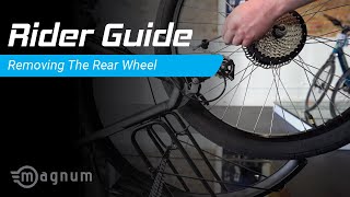 Removing and Reinstalling Your Rear Wheel  Rider Guide [upl. by Edric]